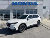Thumbnail of 2026 Platinum White Pearl Honda CR-V