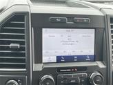 Thumbnail of 2020 Magnetic Ford F-150