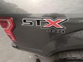 Thumbnail of 2020 Magnetic Ford F-150