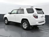 Thumbnail of 2024 Wind Chill Pearl Toyota 4Runner