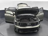 Thumbnail of 2024 Jungle Green Kia Telluride