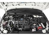 Thumbnail of 2025 Underground Toyota Corolla Hybrid