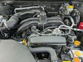 Thumbnail of 2025 Gray Subaru Outback