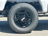 Thumbnail of 2025 Oxford White Ford F-250