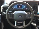 Thumbnail of 2025 Brown Ford F-150