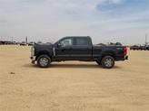 Thumbnail of 2025 Agate Black Metallic Ford F-250
