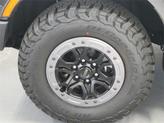 Thumbnail of 2025 Gray Ford Ranger