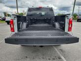 Thumbnail of 2023 Avalanche Ford F-150
