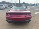 Thumbnail of 2025 Molten Magenta Metallic Tri-coat Ford Mustang