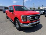 Thumbnail of 2023 Race Red Ford F-150