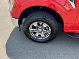 Thumbnail of 2023 Race Red Ford F-150