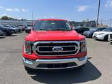 Thumbnail of 2023 Race Red Ford F-150