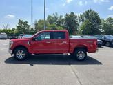 Thumbnail of 2023 Race Red Ford F-150