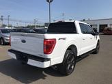 Thumbnail of 2023 Oxford White Ford F-150