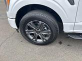 Thumbnail of 2023 Oxford White Ford F-150