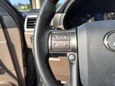 Thumbnail of 2010 GRAY Lexus GX 460