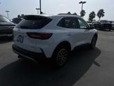Thumbnail of 2025 Star White Ford Escape