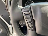 Thumbnail of 2025 Glacier White Nissan Frontier