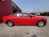 Thumbnail of 2023 Torred Clearcoat Dodge Charger