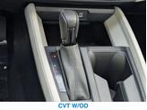 Thumbnail of 2025 Platinum White Pearl Honda Accord