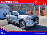 Photo of 2021 Silver Ford F-150