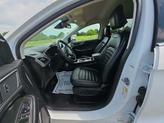 Thumbnail of 2024 Oxford White Ford Edge