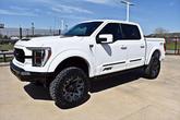 Thumbnail of 2021 WHITE Ford F-150