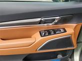Thumbnail of 2025 Jungle Green Kia Telluride