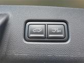 Thumbnail of 2025 Jungle Green Kia Telluride