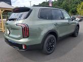 Thumbnail of 2025 Jungle Green Kia Telluride