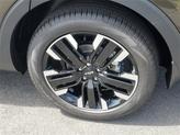 Thumbnail of 2025 Dark Moss Kia Telluride