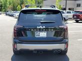 Thumbnail of 2025 Ebony Black Kia Telluride