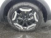 Thumbnail of 2025 Glacial White Pearl Kia Telluride