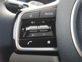 Thumbnail of 2026 Metal Kia Carnival