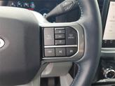 Thumbnail of 2024 Gray Metallic Ford F-250