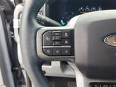 Thumbnail of 2024 Gray Metallic Ford F-250