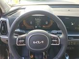 Thumbnail of 2025 Panthera Metal Kia Sorento