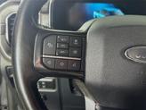 Thumbnail of 2021 Gray Ford F-150