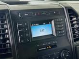Thumbnail of 2020 Magnetic Ford F-150