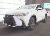 Thumbnail of 2024 Eminent White Pearl Lexus NX 250