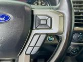Thumbnail of 2019 Magnetic Ford F-150