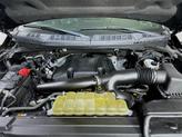 Thumbnail of 2019 Magnetic Ford F-150