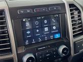 Thumbnail of 2019 Magnetic Ford F-150