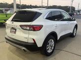 Thumbnail of 2020 WHITE Ford Escape