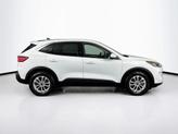 Thumbnail of 2020 OXFORD WHITE Ford Escape