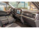 Thumbnail of 2021 Guard Metallic Ford F-150