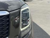 Thumbnail of 2022 Dark Moss Kia Telluride