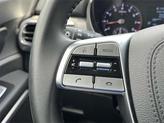 Thumbnail of 2022 Dark Moss Kia Telluride