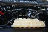 Thumbnail of 2022 White Ford F-150