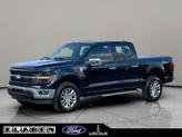 Photo of 2024 Agate Black Metallic Ford F-150